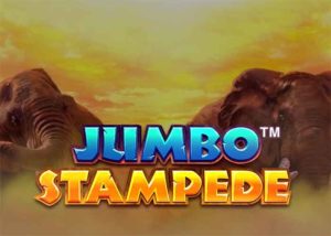 Read more about the article Der Jumbo Stampede Slot, eine aufregende Safari auf 6 Rollen